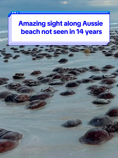 @Yahoo Australia