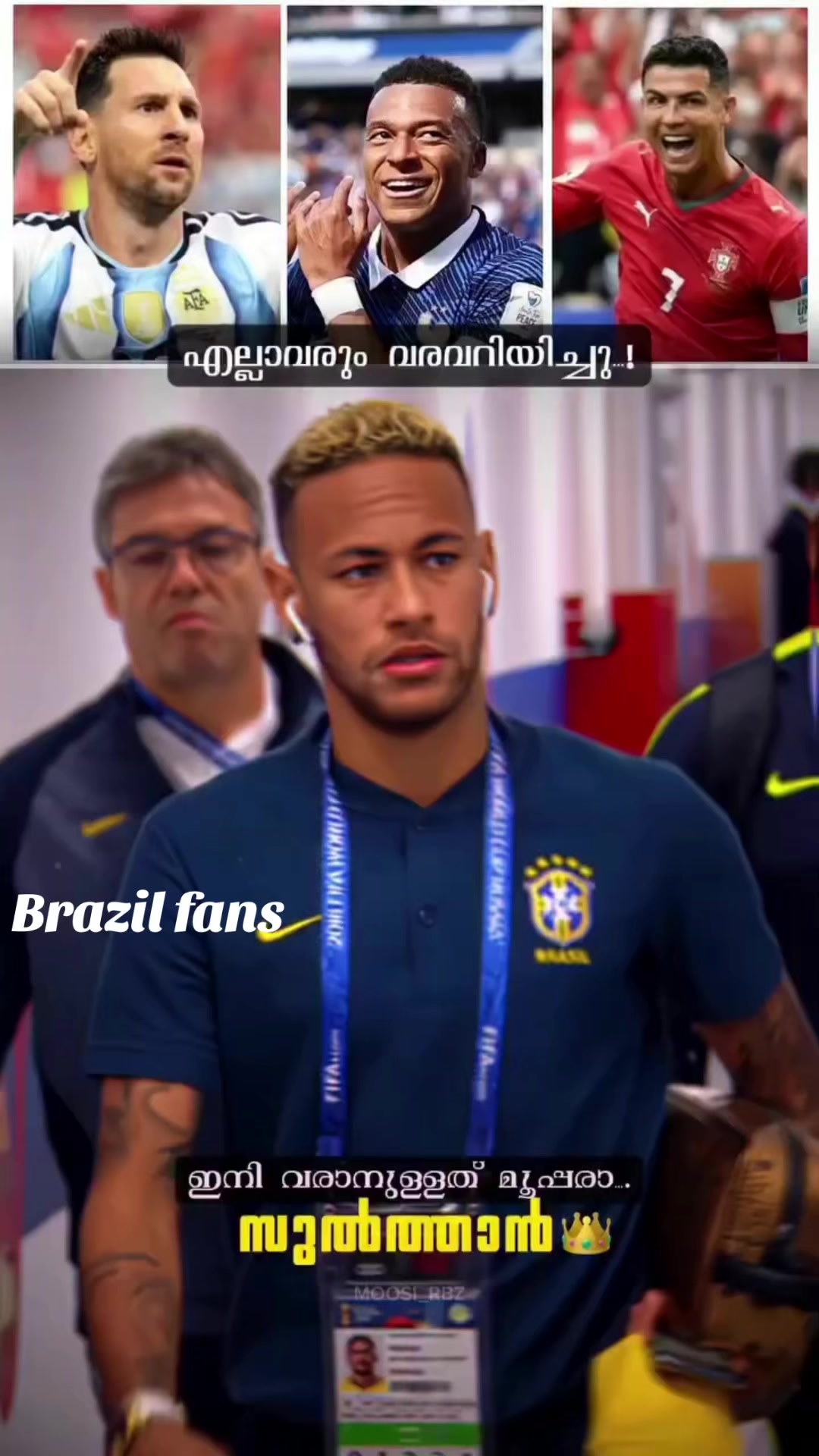 @brazi307