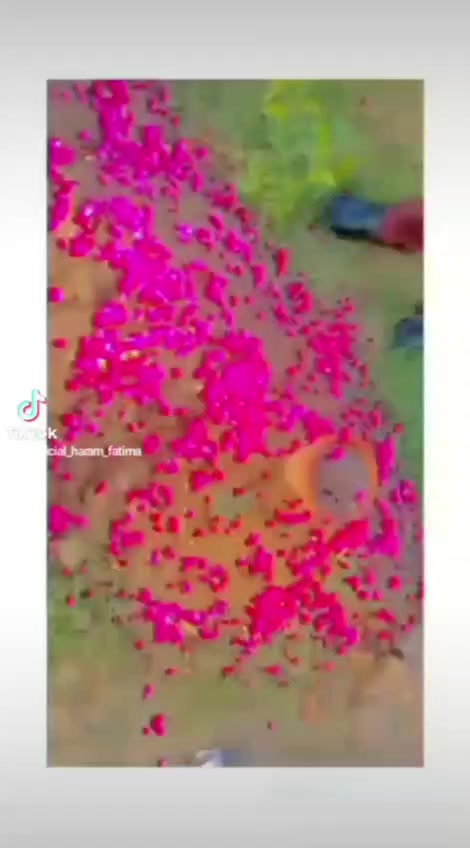 @malikzaman9794292