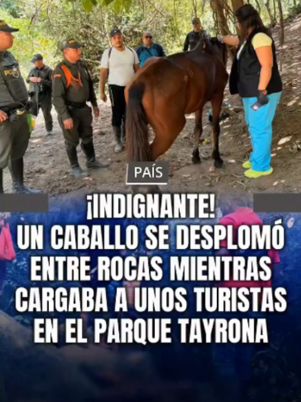 @MINUTO30
