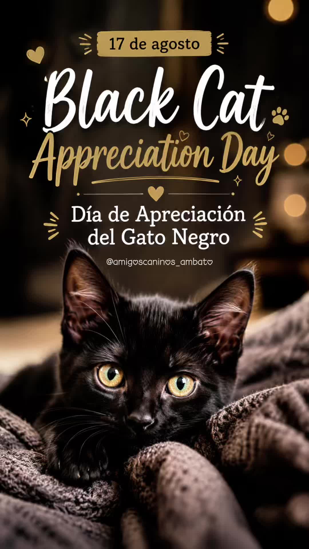 @Amigoscaninos_Ambato