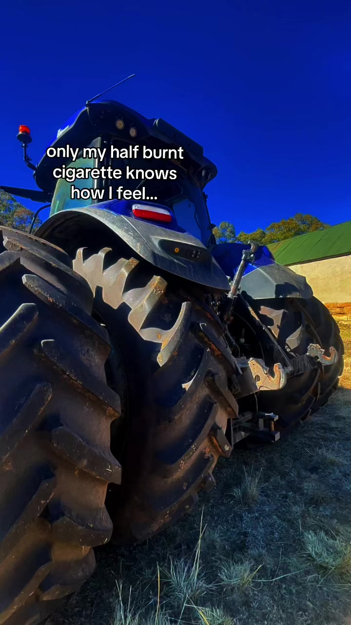 @🌚