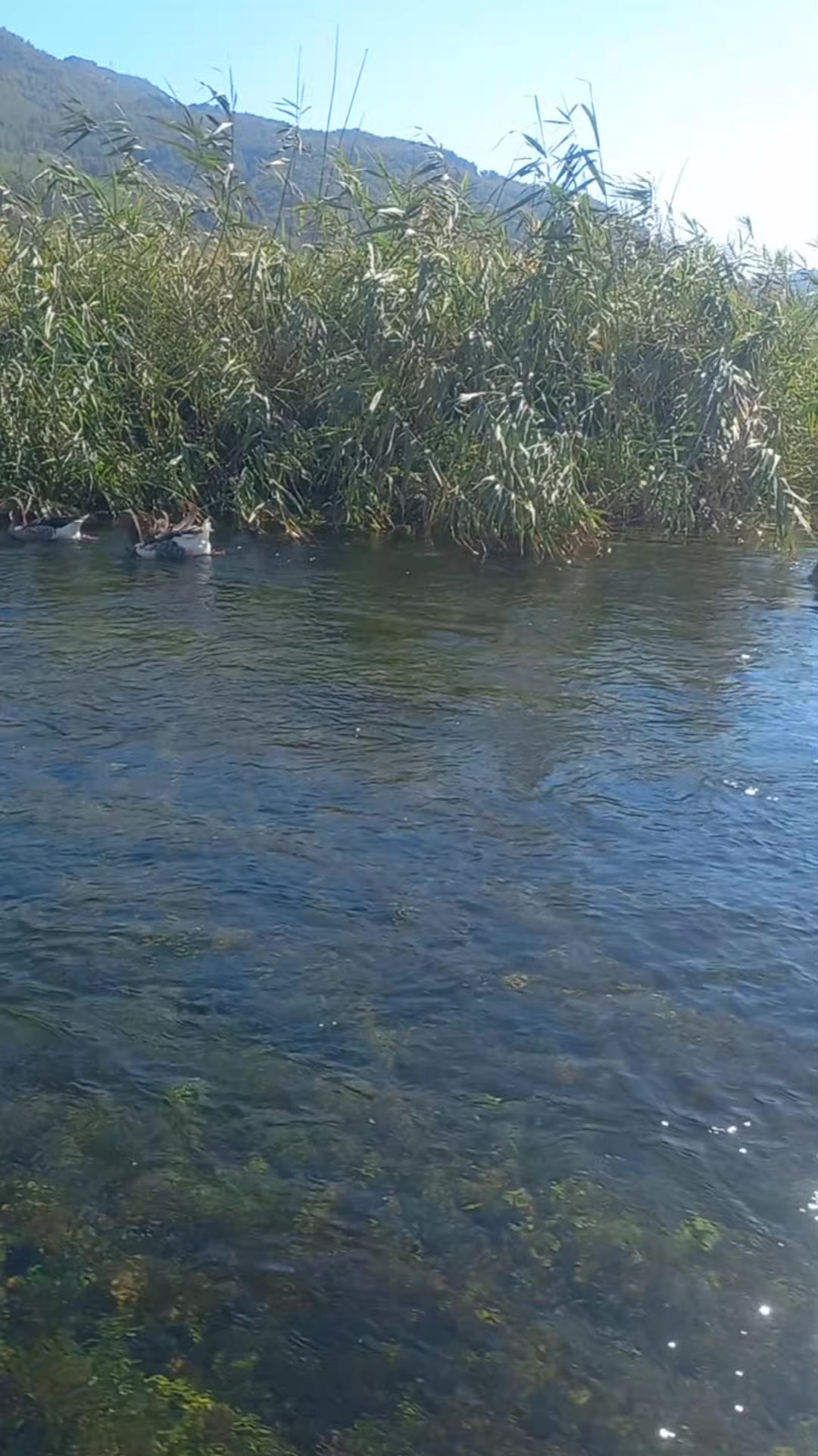 @Tuğba karatekin 🦂