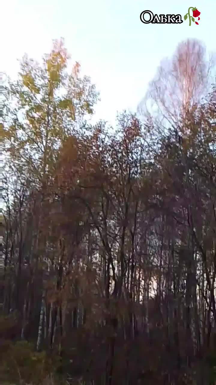 @Оля