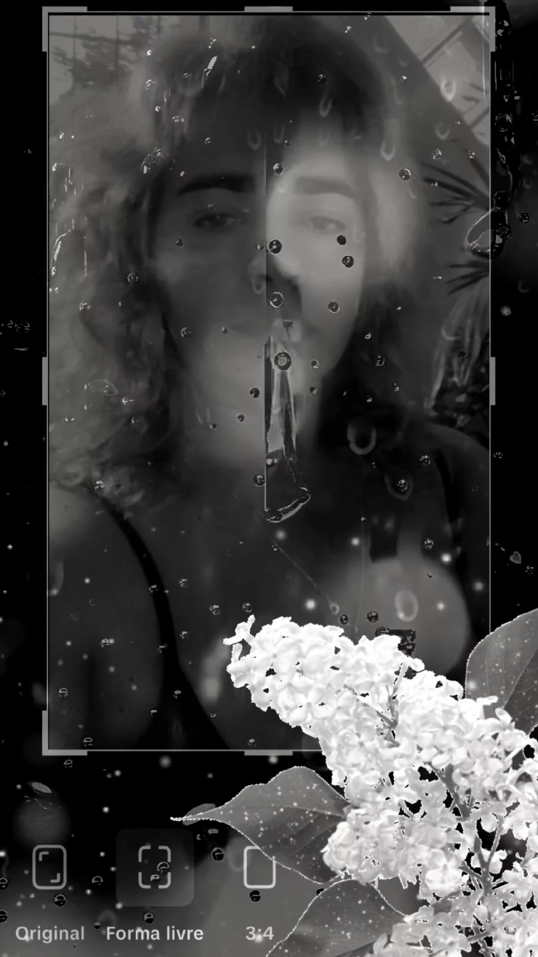 @anaguerra4275