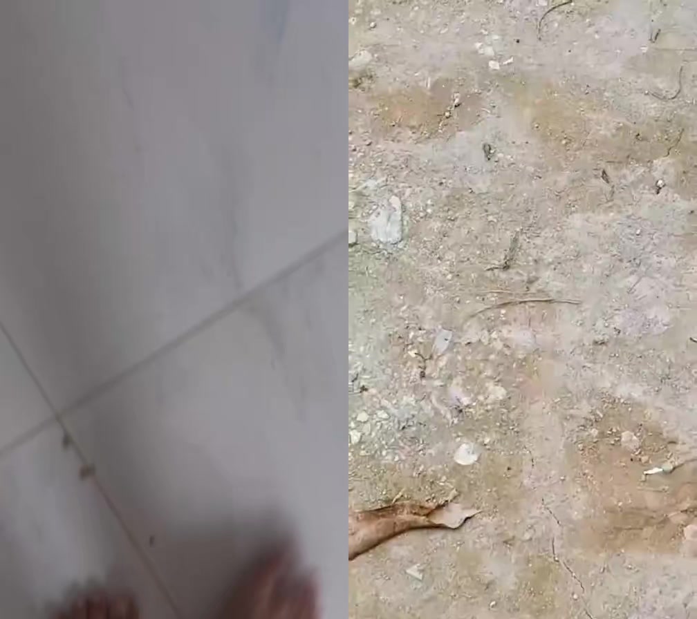 @โฅโโข๏ธ๐๐ฆ๐ฆ๐๐ซ_๐ ๐๐ฎ๐ญ๐คชโโโค