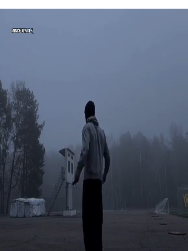 @MindfulWolf