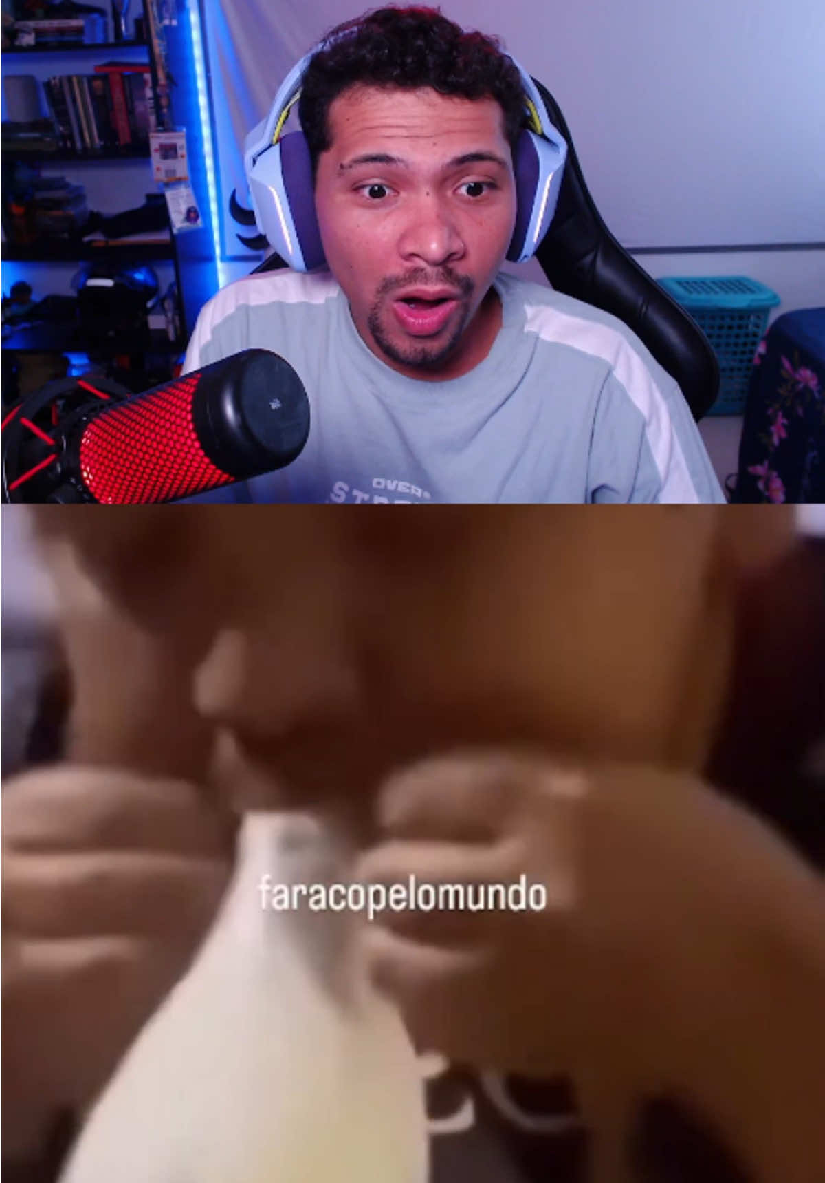 @Gustavo Amarante