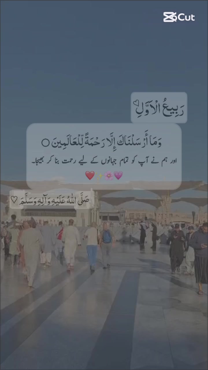 @syeda Anum Faisal🌸🌸