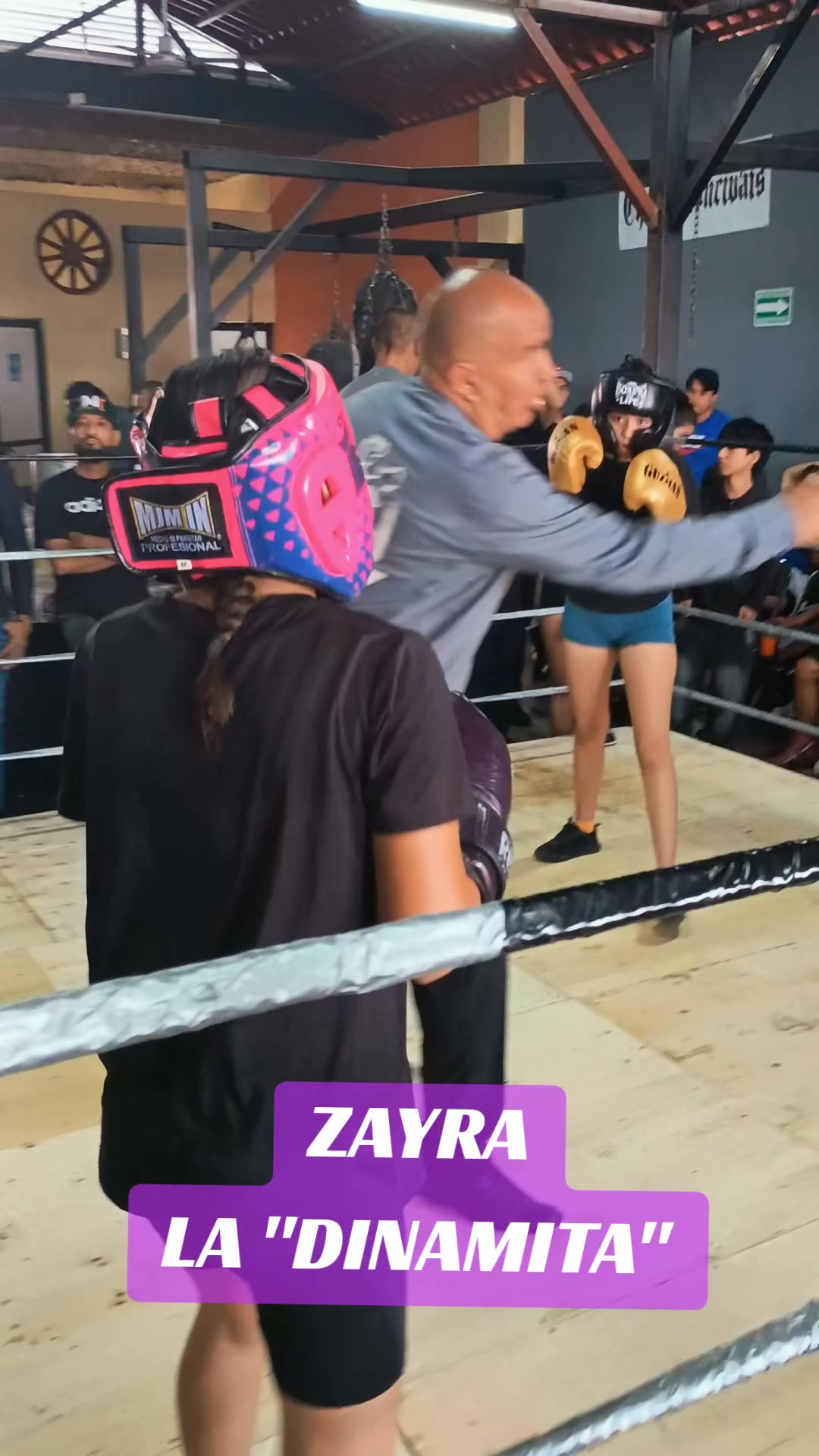 @netos boxing
