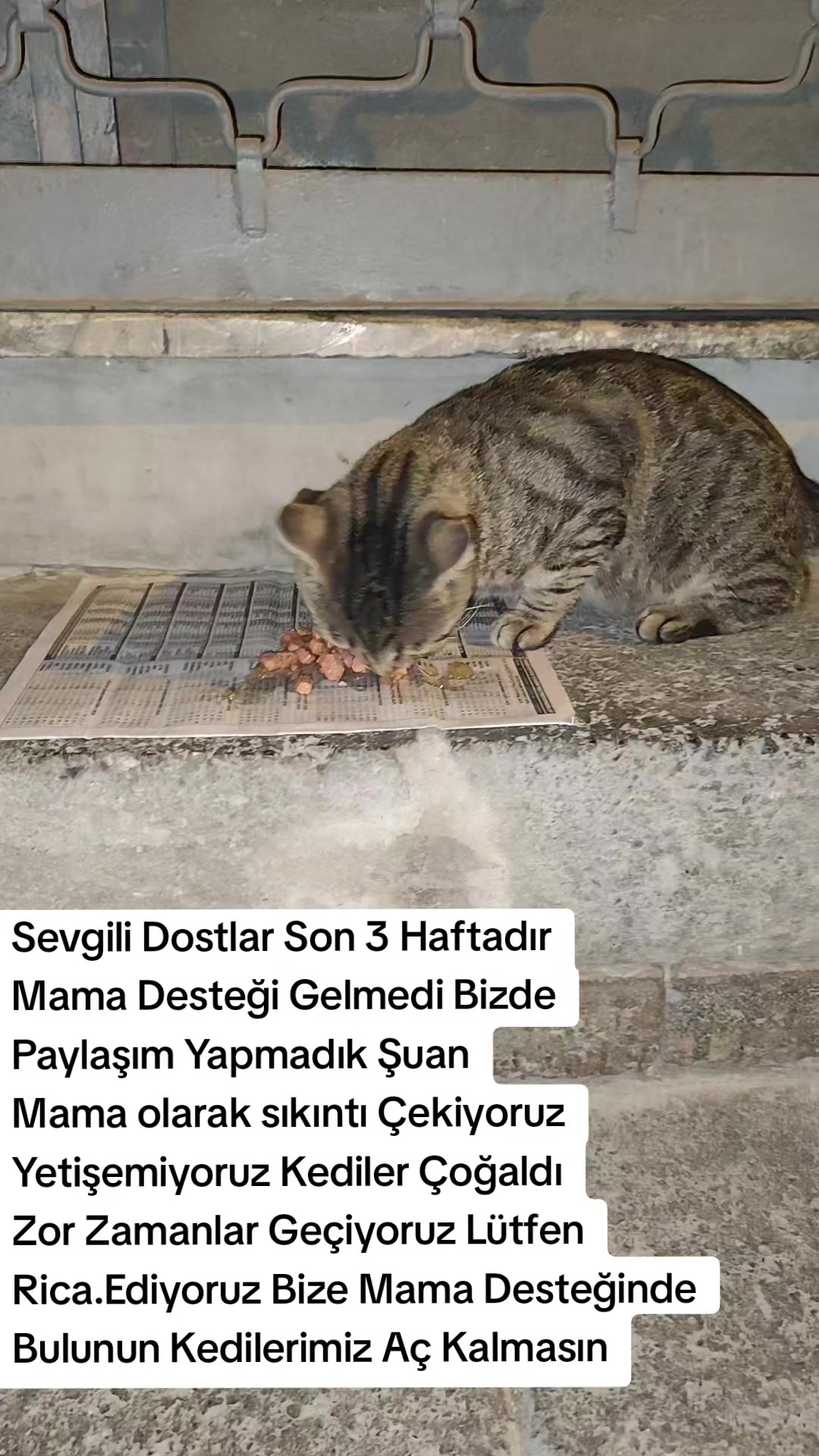 @@kedisizevolmaz
