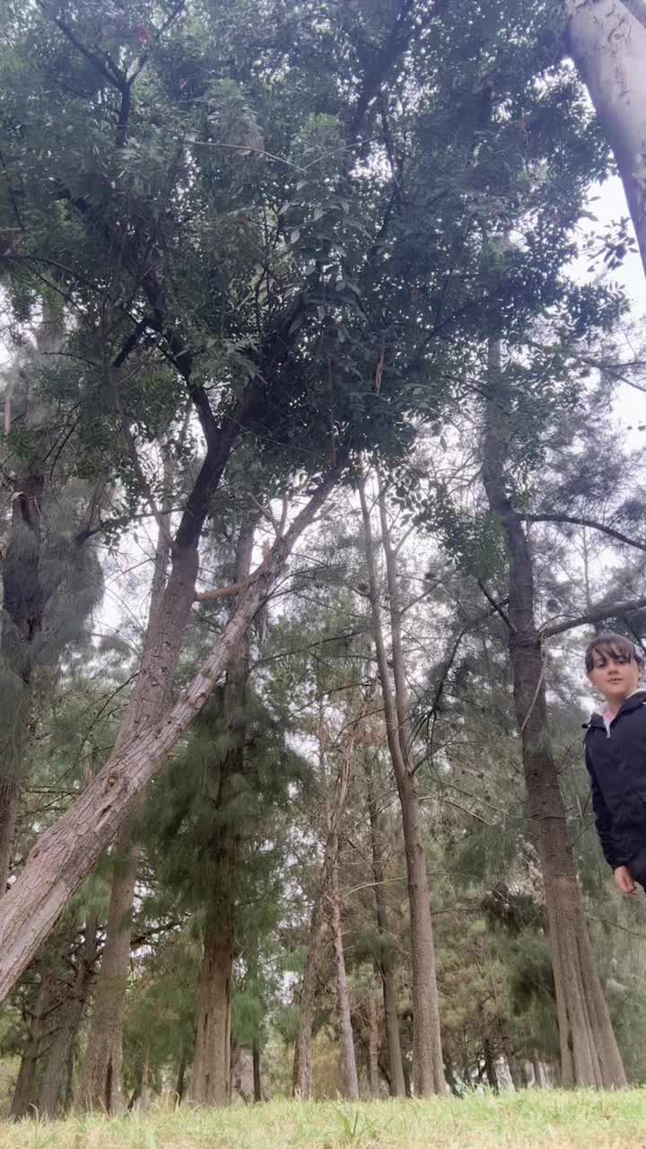 @icelagarrido6