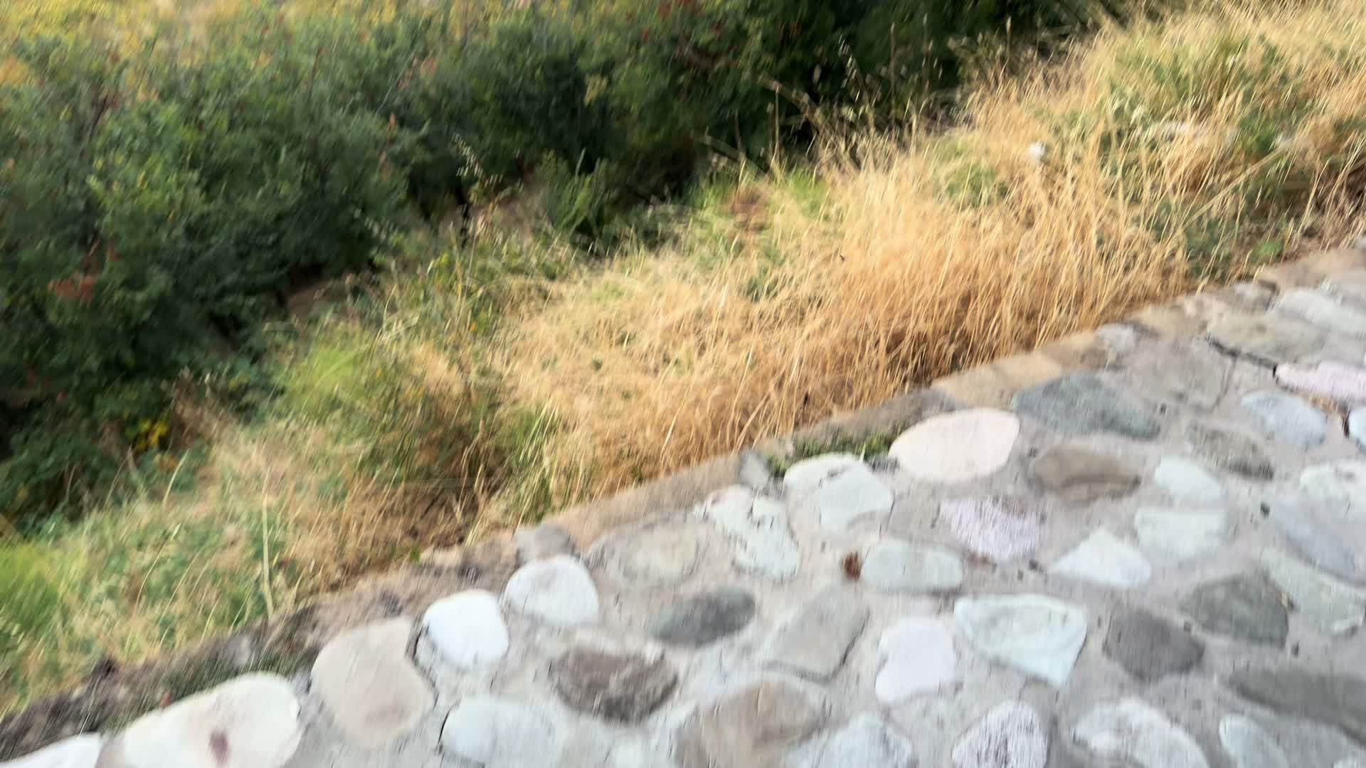 @Asim_004