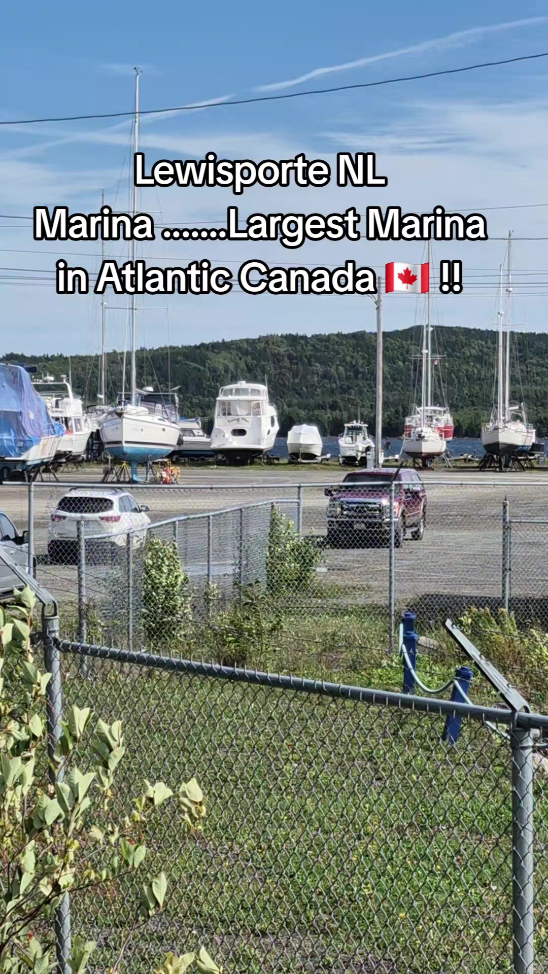 @⚓️Dwayne NL🇨🇦🇨🇦Gen ❌️