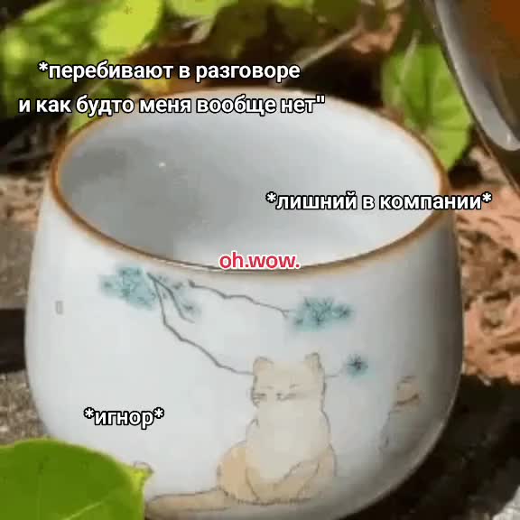 @капитох(он/его)