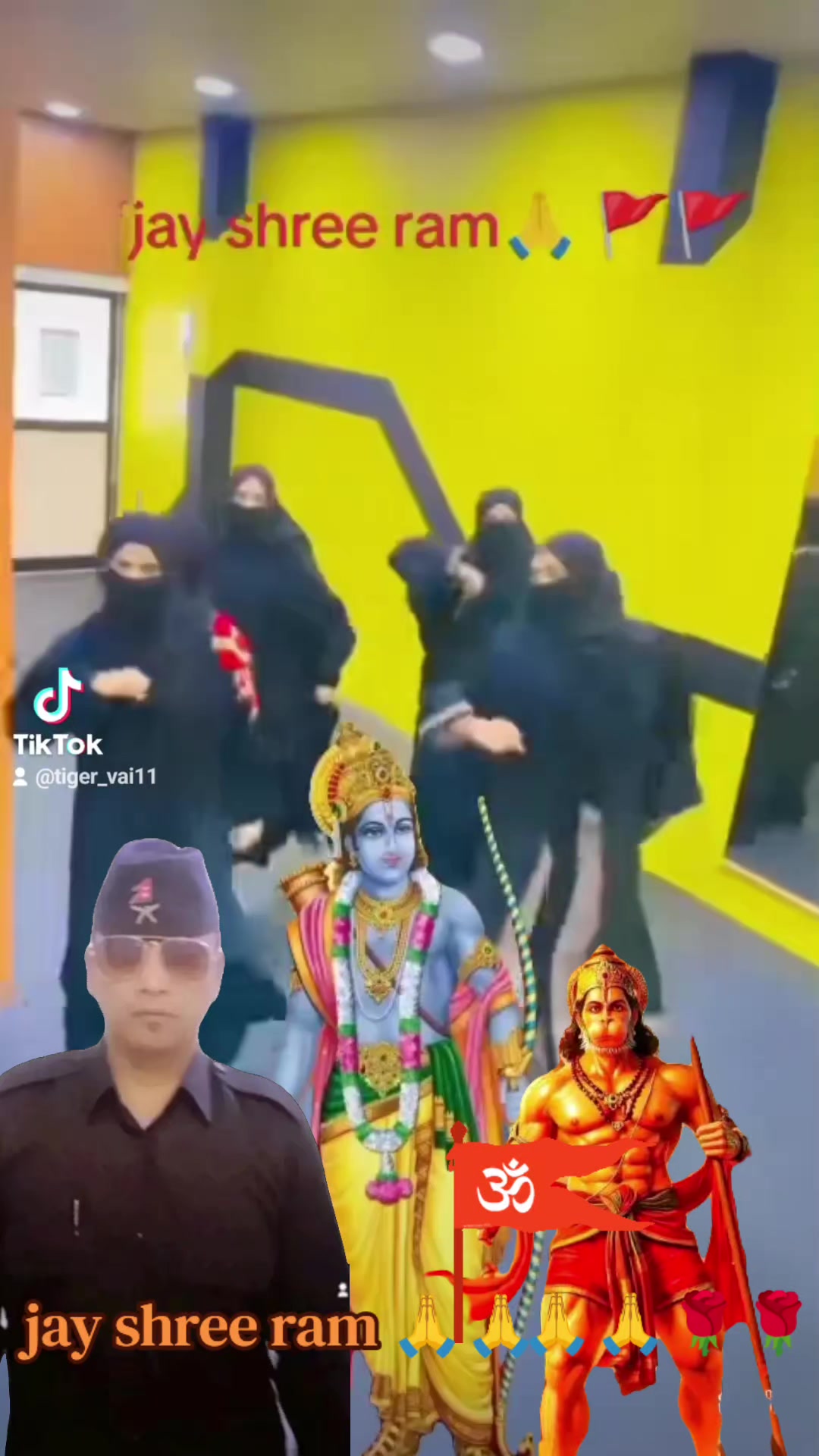@tiger vai