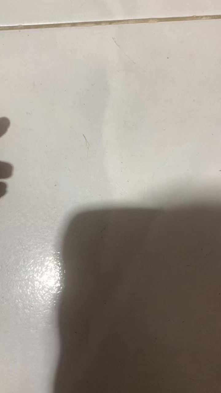 @♡ ༘*.゚𝓑𝓮𝓬𝓱🧸