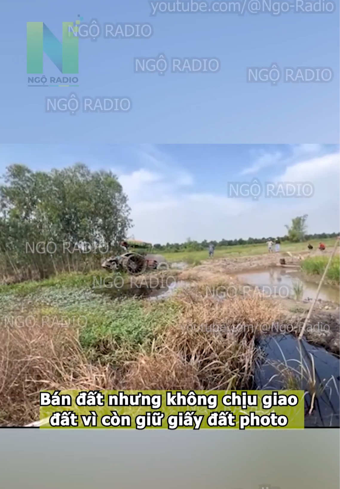 @Sơn T&ugrave;ng