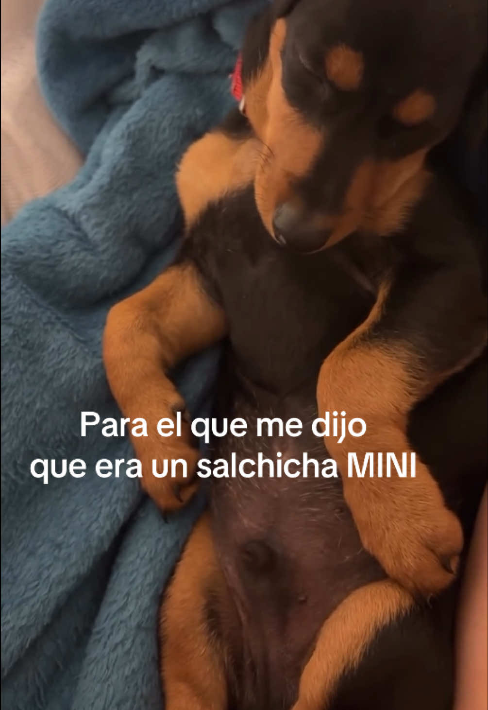 @Bren Martínez