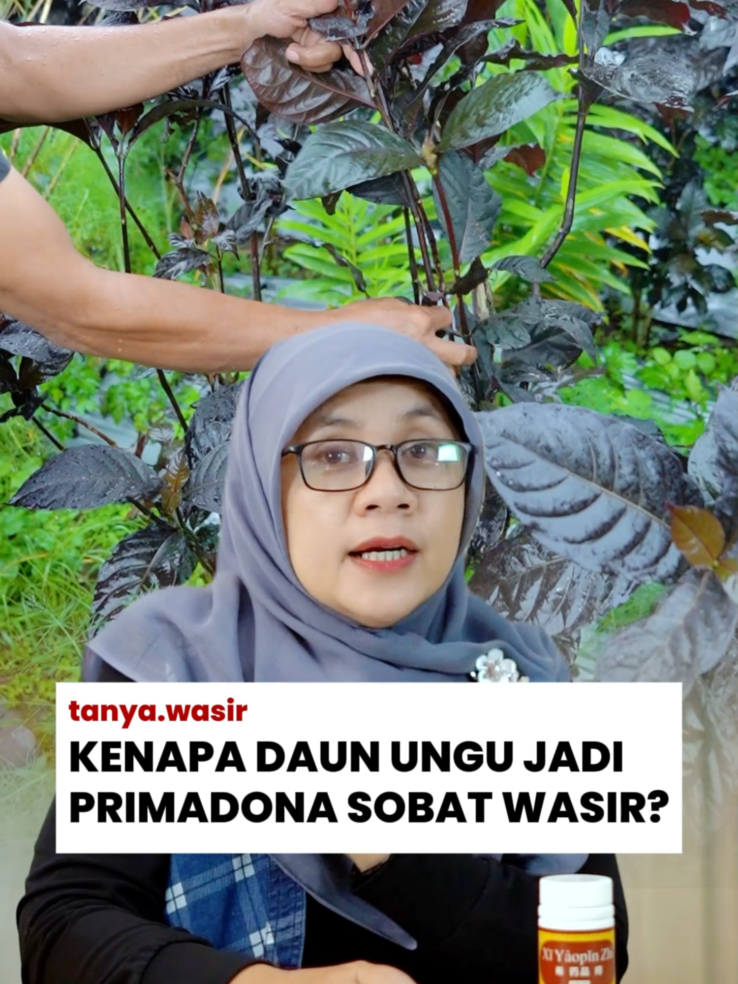 @tanyawasir | edukasi wasir