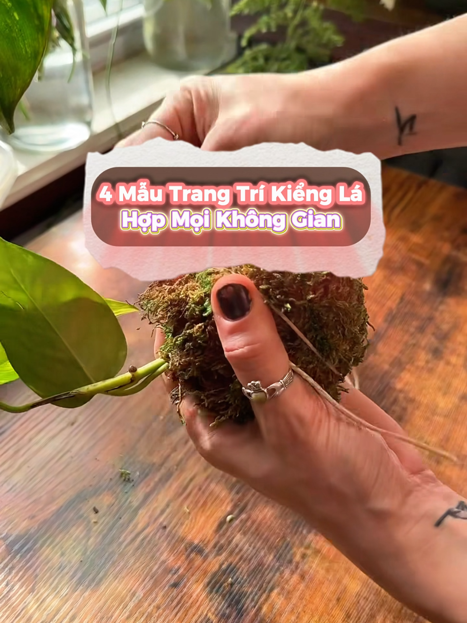 @SERAMIS VIỆT NAM