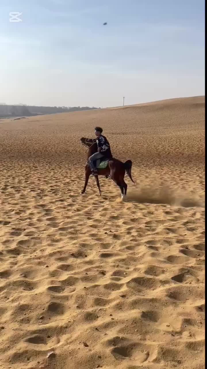 @7amodyyy