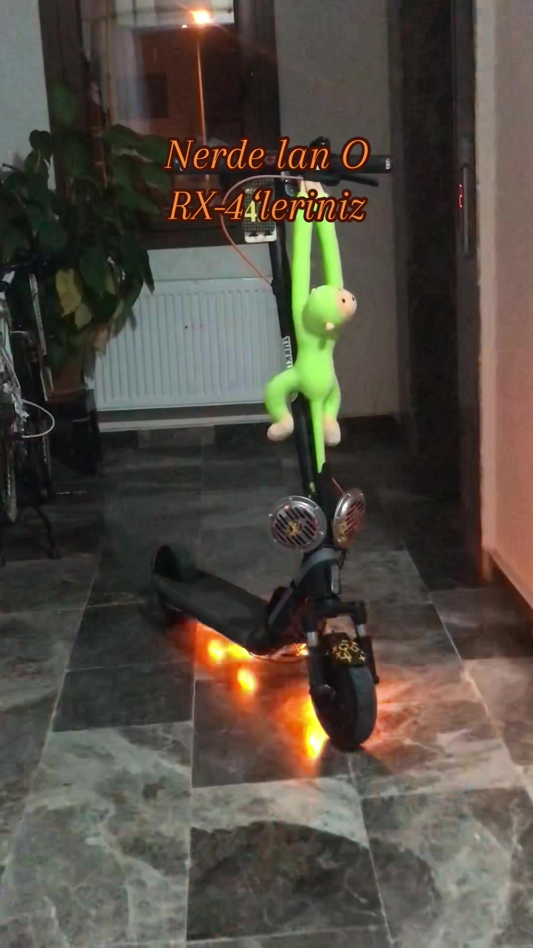 @ℰ𝓇𝒶𝓎 𝒦𝒶𝓇𝓉𝒶𝓁