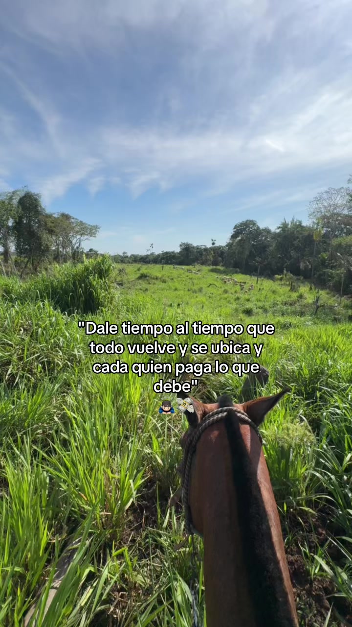 @Didier_🤠