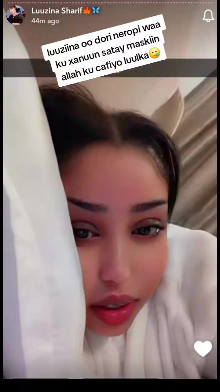 @shuushuuu123455