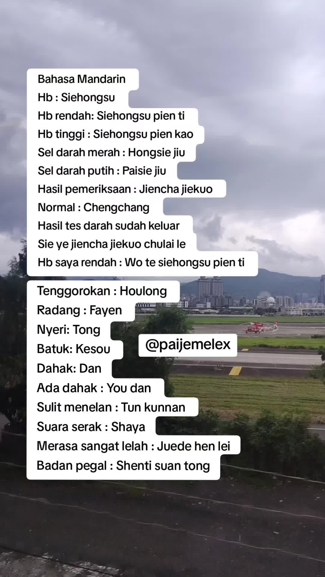 @paijemelex