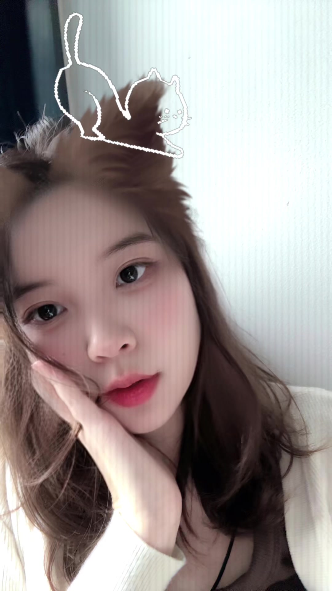 @memlobo_n