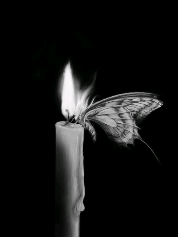 @فَٰالِيـٰ⋆ـرْيـٰـا