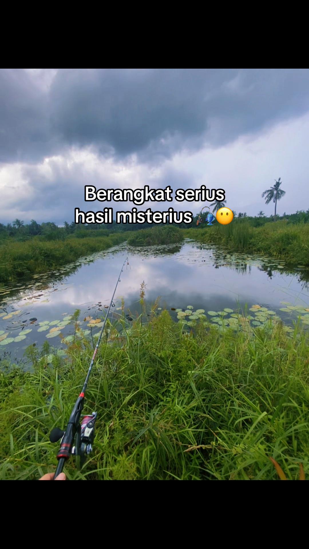 @Hi Linn