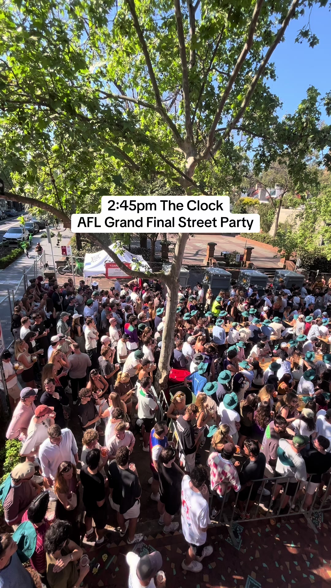 @Bondi Lines