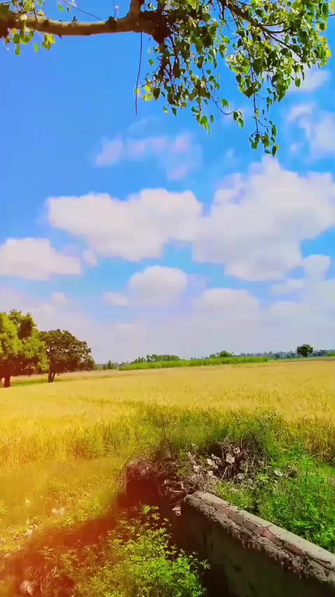 @HanzlaKhan000