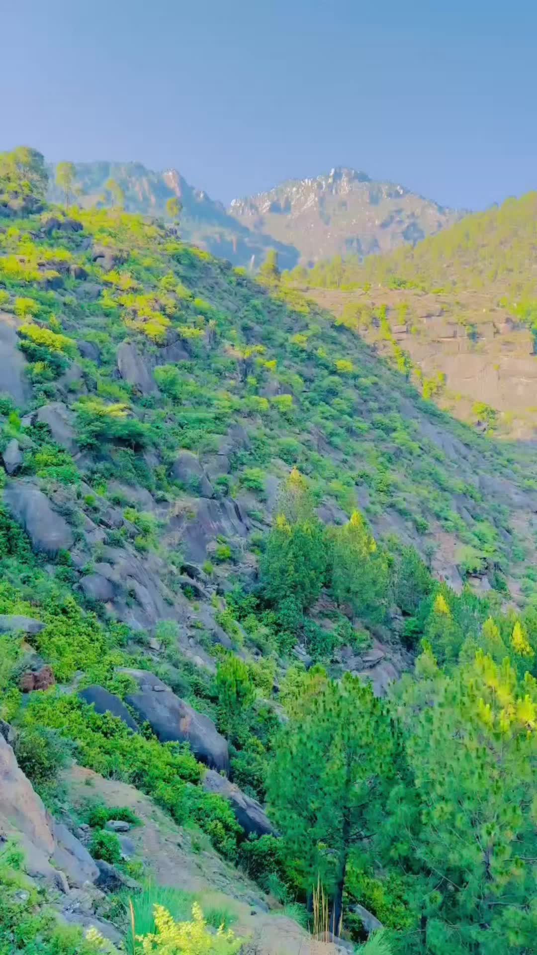 @SAMI ULLAH NASAR
