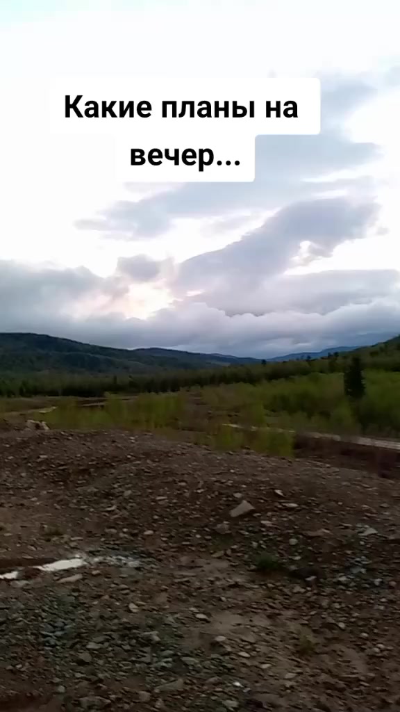 @Мой котик