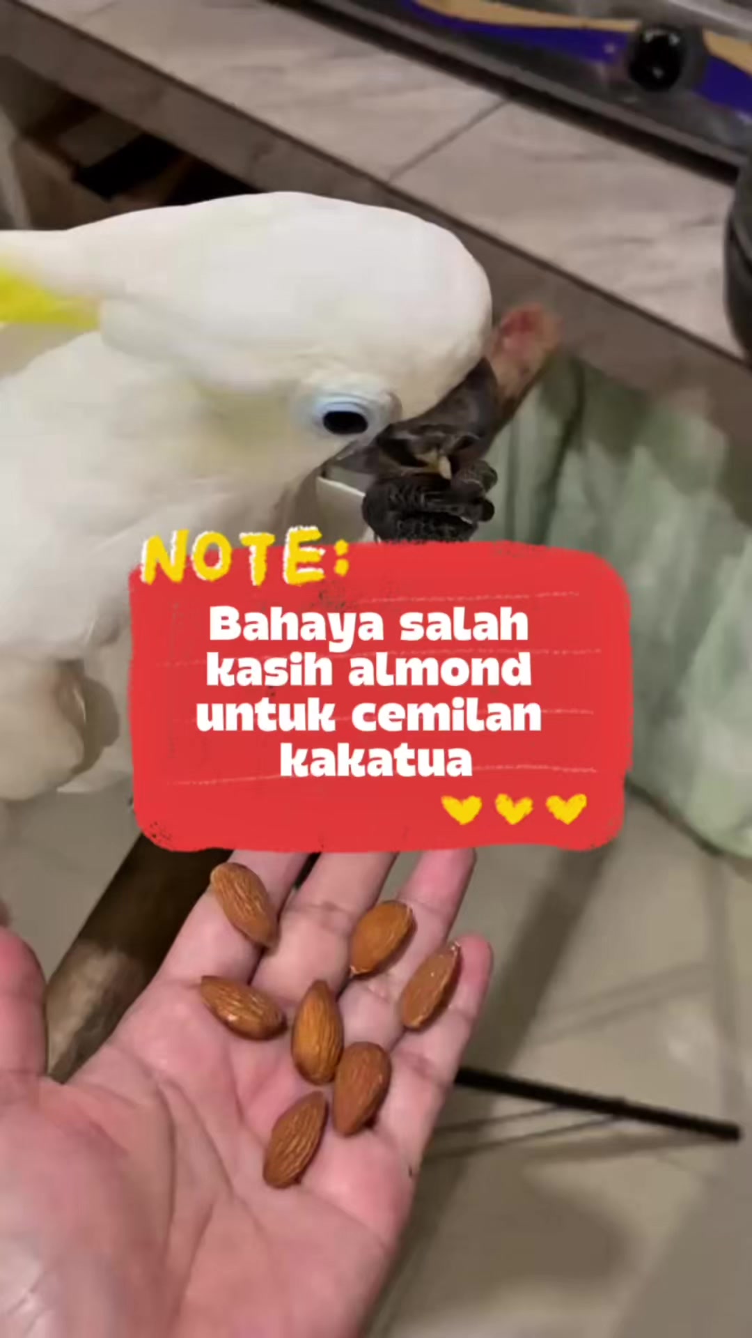 @bio_bege