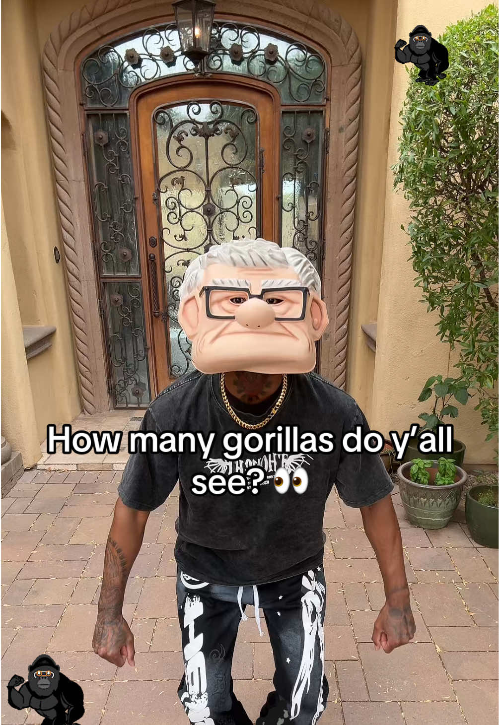 @SPIDA 🕷️