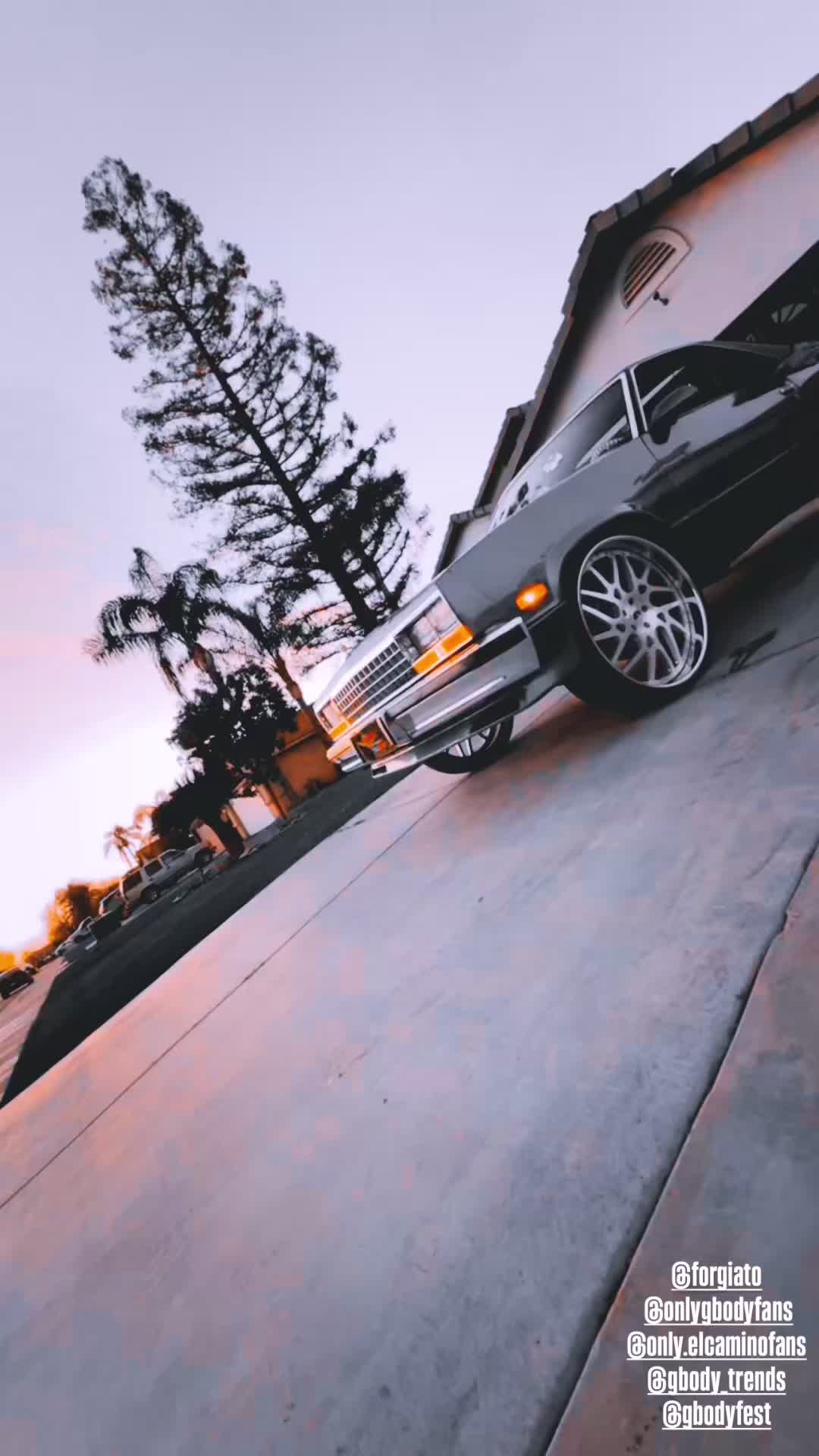 @Onlygbodyfans🏁
