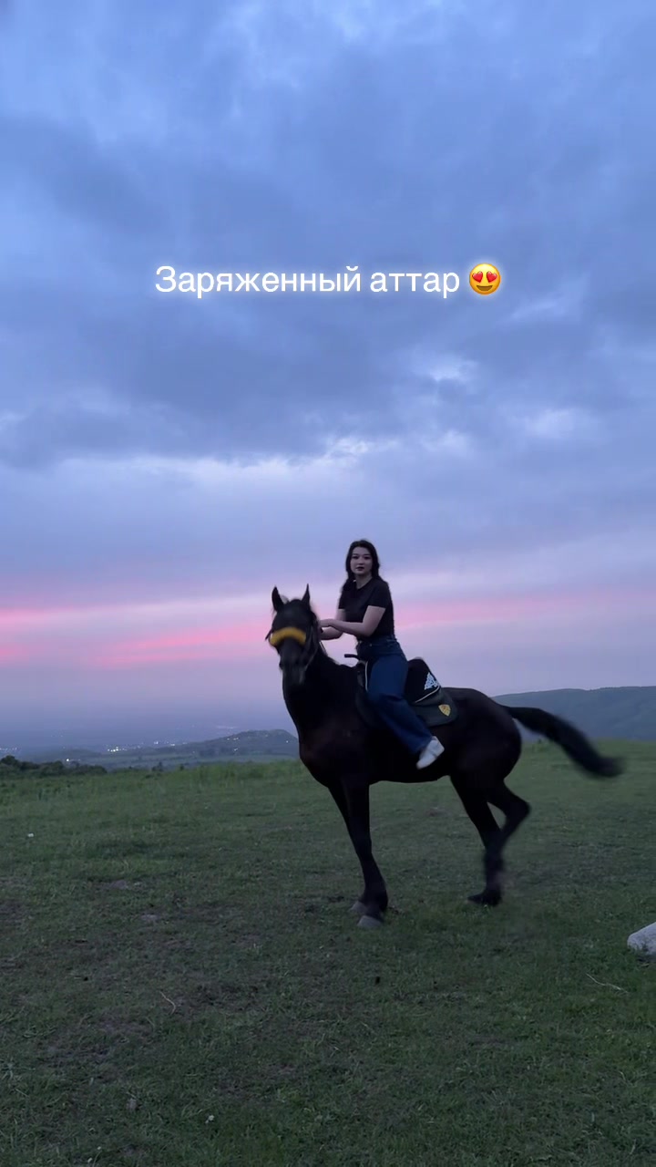 @akshatau_horses