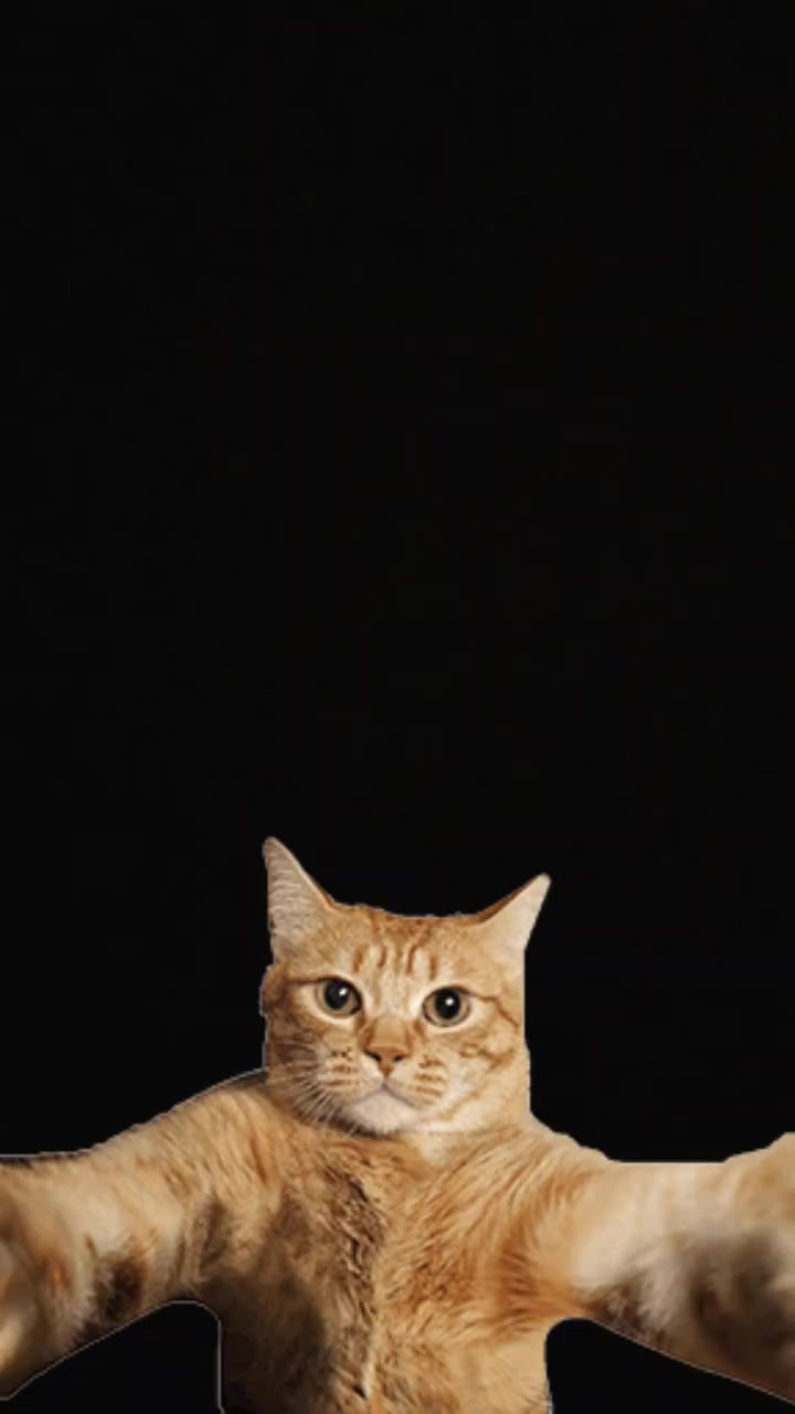 @เฉาก๊วยแมวดำ🐱