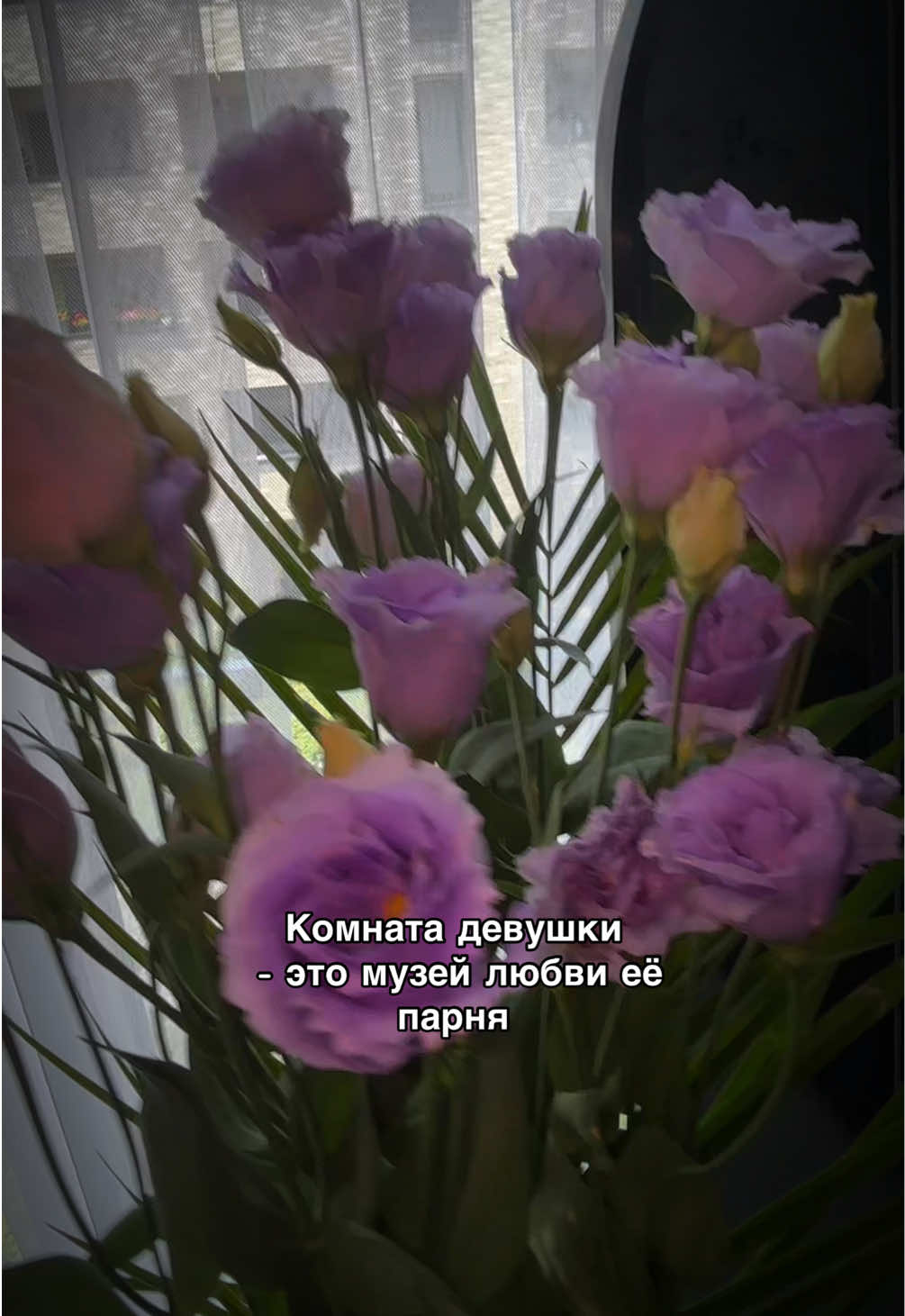 @ПАУЛИНА❣️