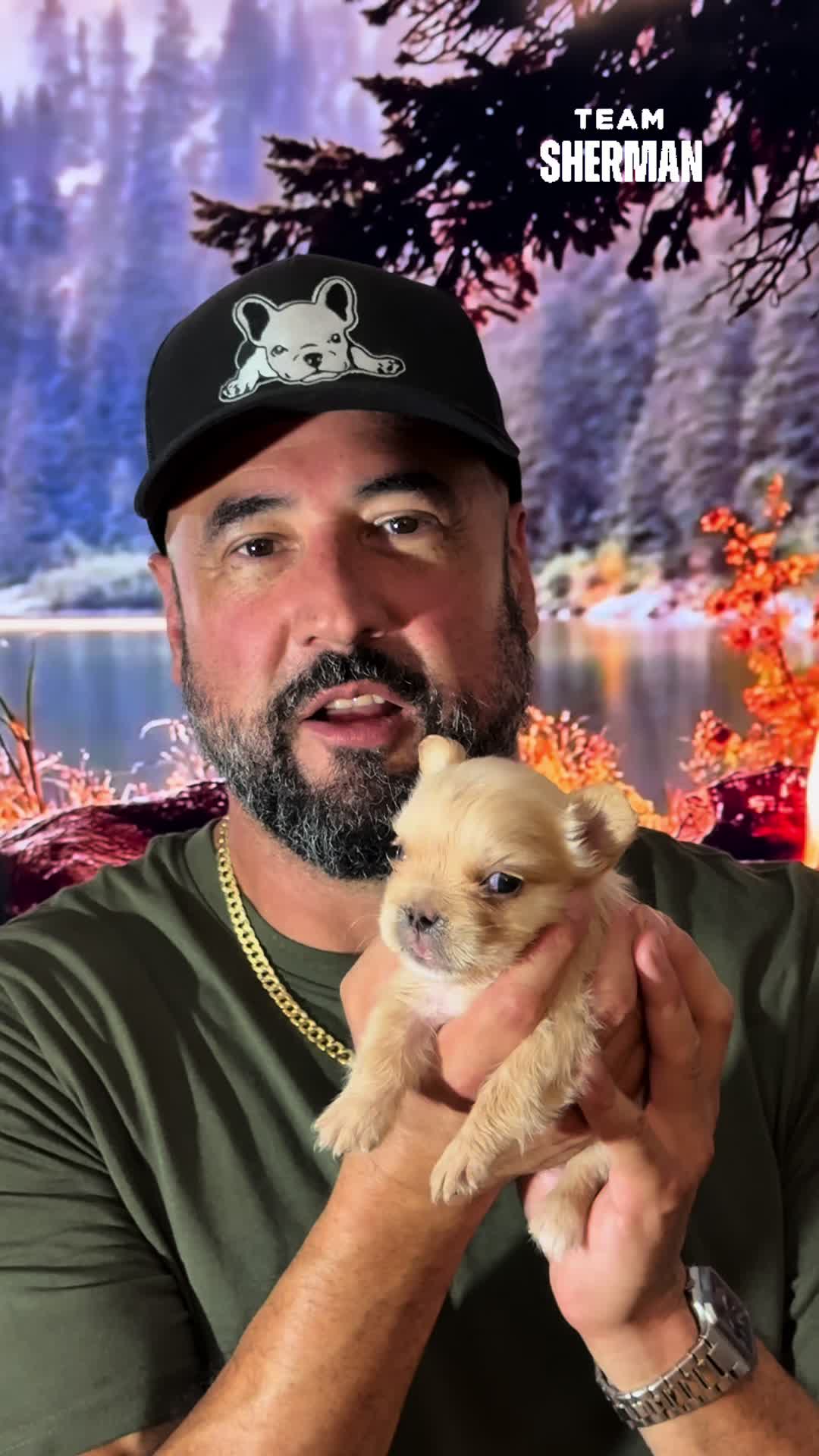 @FriendlyFrenchiesOC