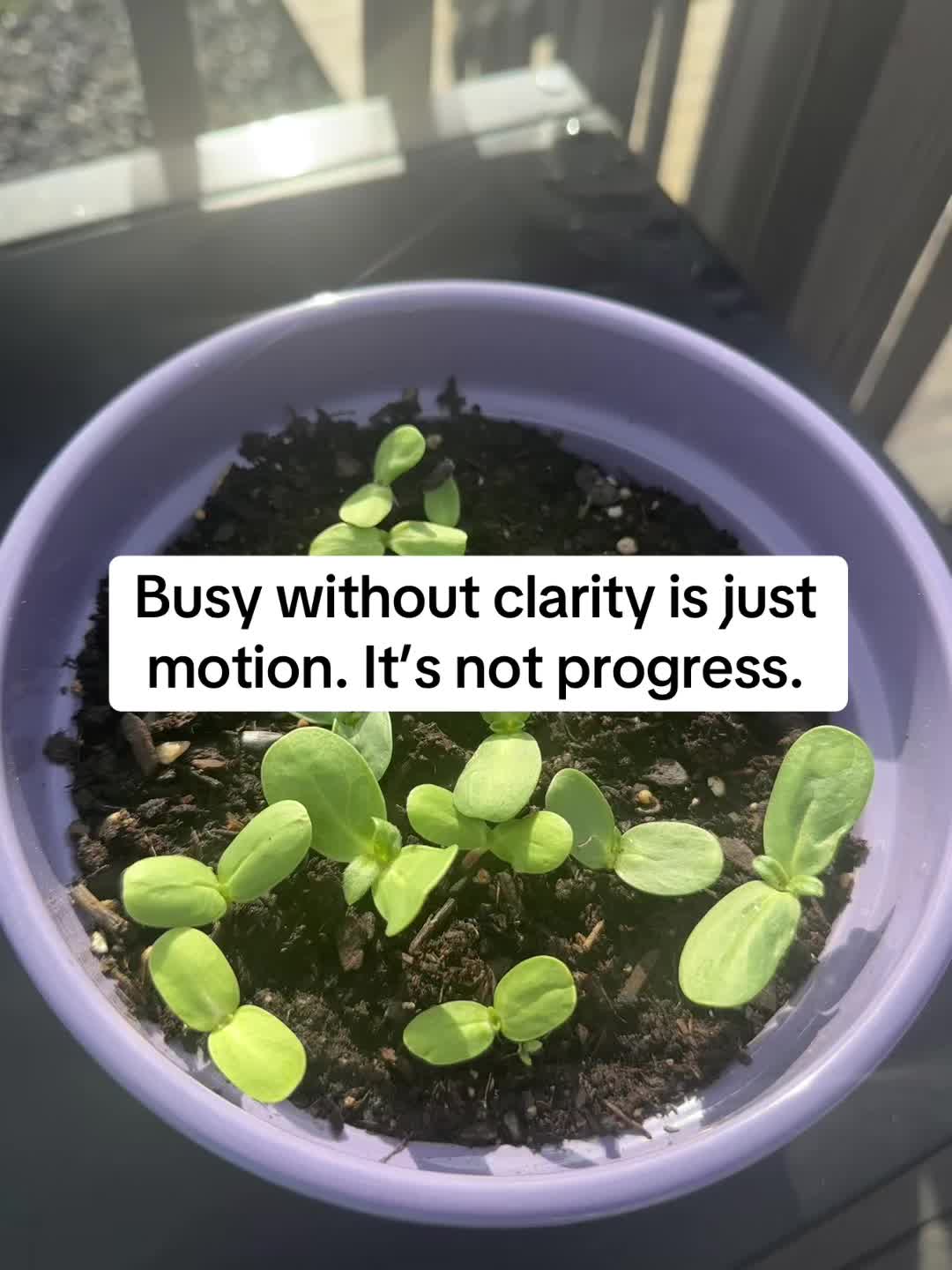 @Audacious_Am