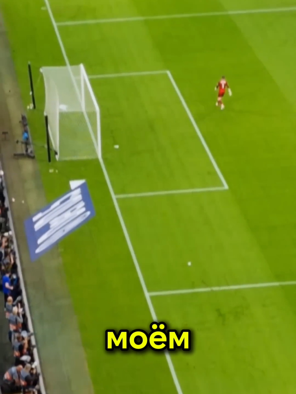 @Shorts Chill
