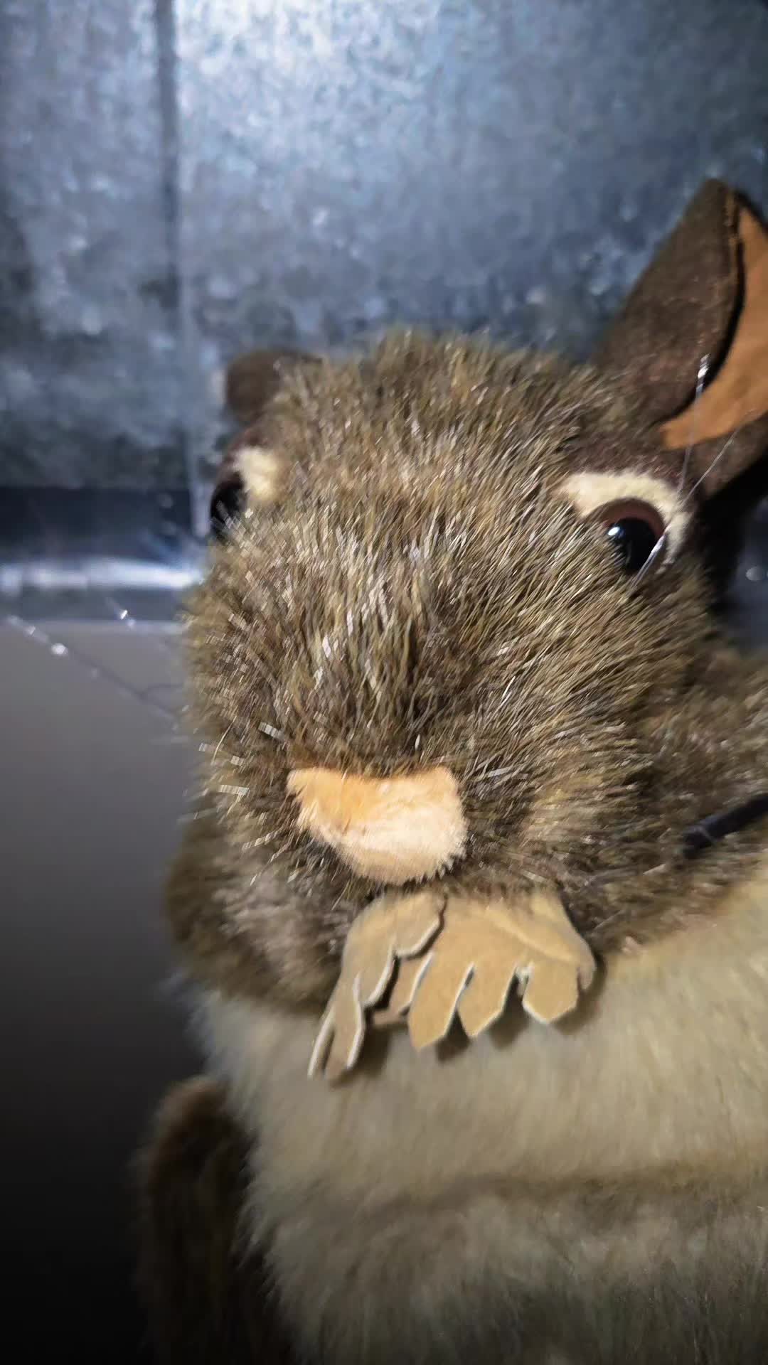 @RATATA