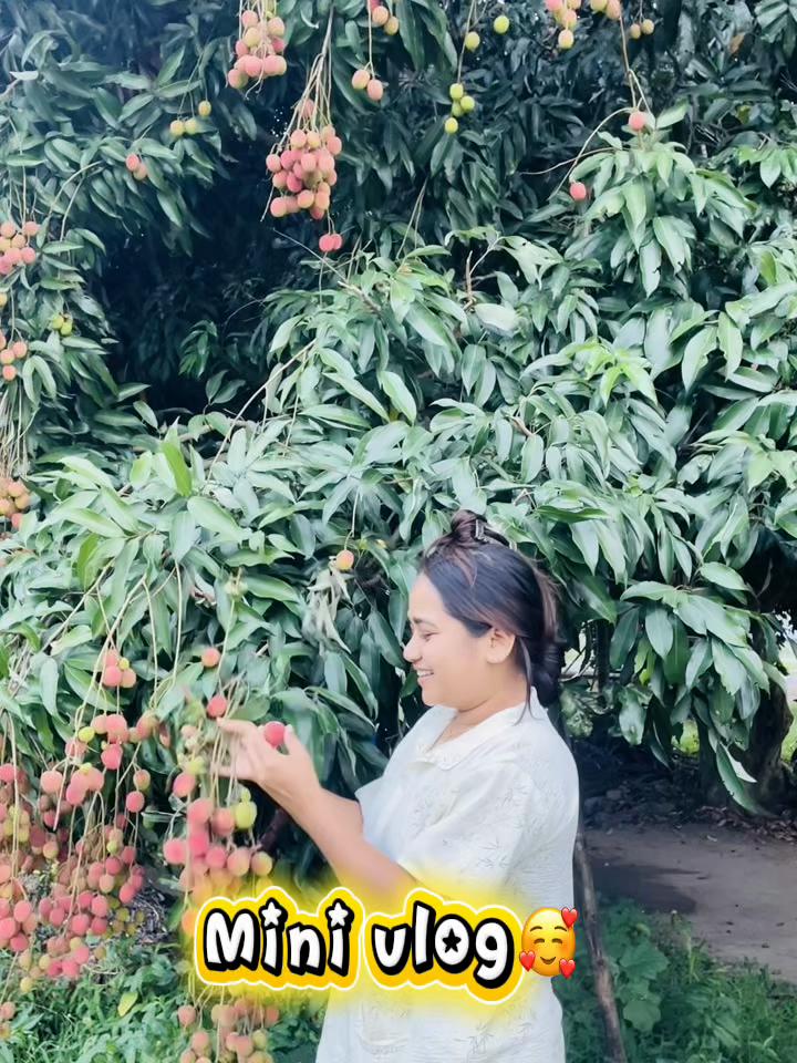 @rakxya7