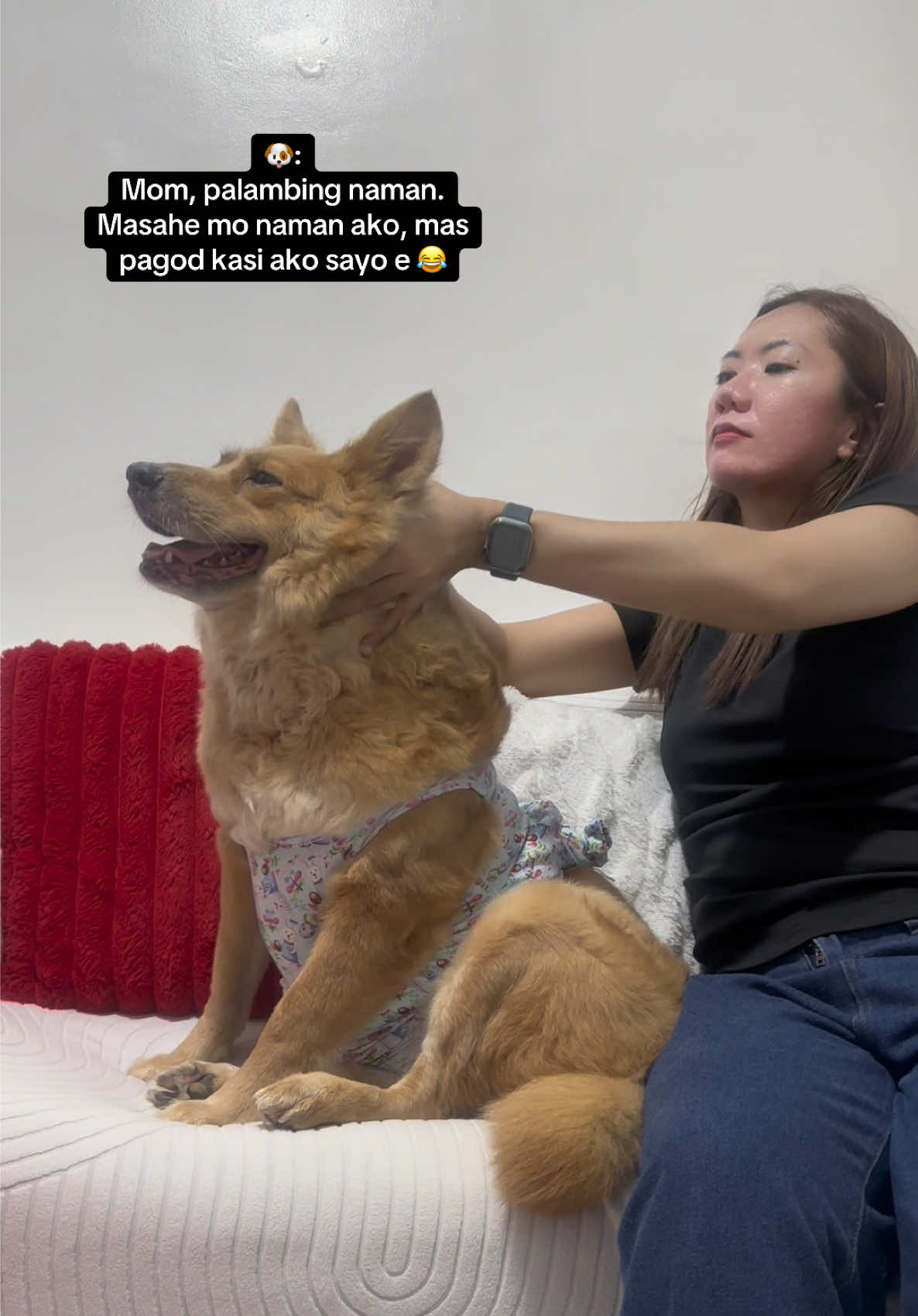 @aljerienianne