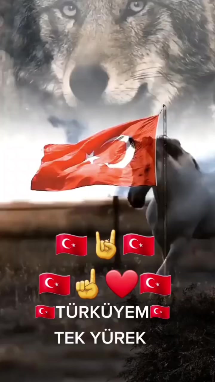 @Harun Biyik